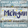 Michigan Motto Novelty Metal Square Sign 12" (SQ)