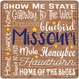 Missouri Motto Novelty Metal Square Sign 12" (SQ)