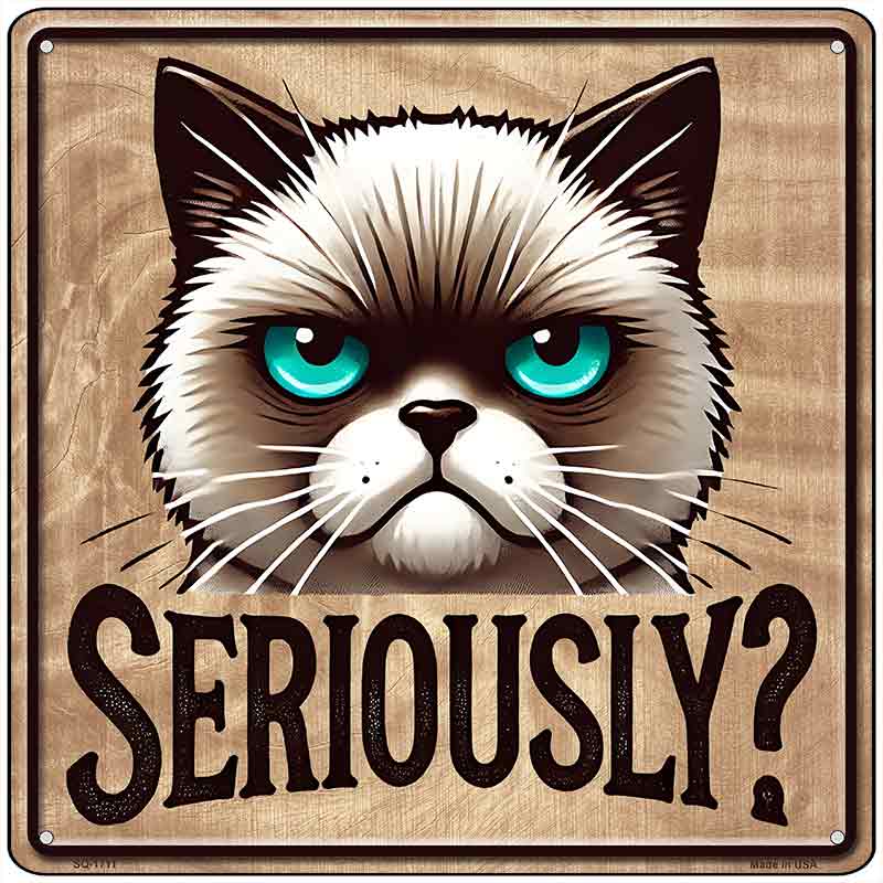 Seriously Novelty Metal Square Sign SQ-1711