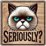 Seriously Novelty Metal Square Sign SQ-1711