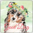 Australian Shepherd Good Dog Novelty Square Sign 12" (SQ)