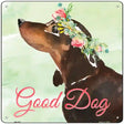 Black Dachshund Good Dog Novelty Square Sign 12" (SQ)