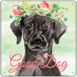 Black Lab Good Dog Novelty Square Sign 12" (SQ)