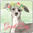 Italian Greyhound Good Dog Novelty Square Sign 12" (SQ)