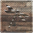 Corrugated Dragonfly on Wood Novelty Metal Square Sign 12" (SQ)