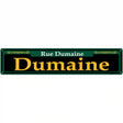 Dumaine Green Novelty Metal Street Sign 24" x 5" (ST)