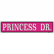 Princess Dr. Novelty Metal Street Sign 24" x 5" (ST)