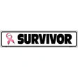 Survivor Pink Ribbon Breast Cancer Novelty Metal Street Sign 24" x 5" (ST)