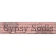 Gypsy Souls Novelty Metal Street Sign 24" x 5" (ST)