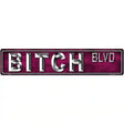 Bitch Blvd Metal Novelty Street Sign 24" x 5" (ST)