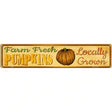 Farm Fresh Pumpkins Novelty Metal Street Sign 24" x 5" (ST)