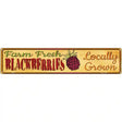 Farm Fresh Blackberries Novelty Metal Street Sign 24" x 5" (ST)