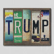 Trump License Plate Tag Strips Novelty Wood Sign WS-098