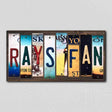 Rays Fan License Plate Tag Strips Novelty Wood Signs WS-418