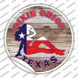 Dixie Chicks Texas Novelty Circle Sticker Decal Small