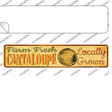 Farm Fresh Cantaloupe Novelty Narrow Sticker Decal Small