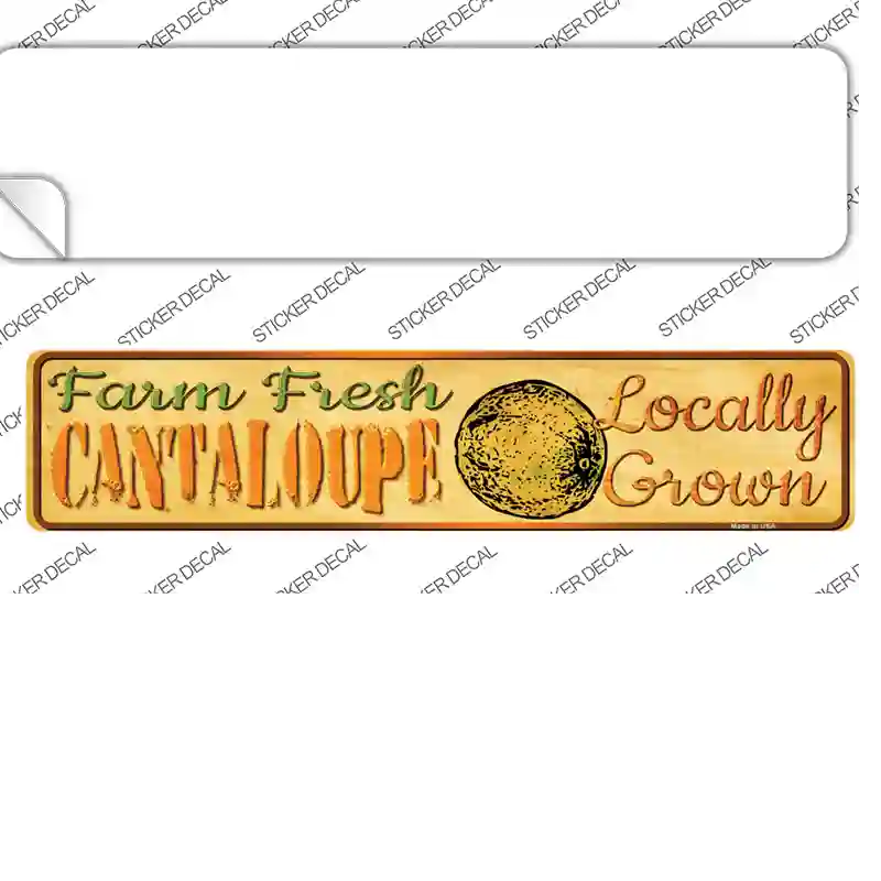 Farm Fresh Cantaloupe Novelty Narrow Sticker Decal Small