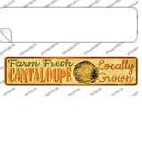 Farm Fresh Cantaloupe Novelty Narrow Sticker Decal Small