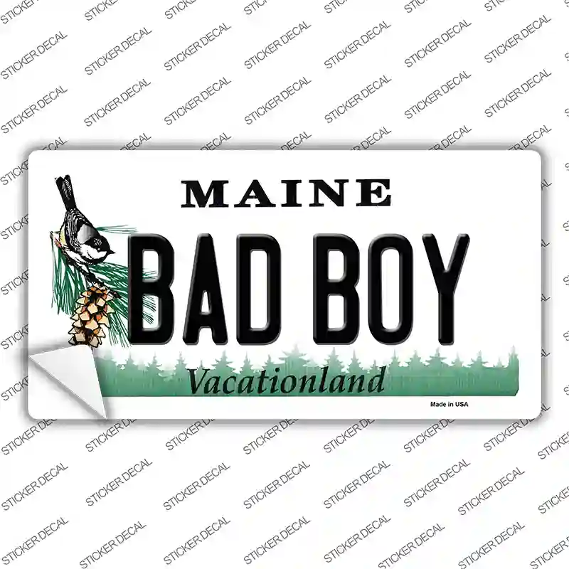 Bad Boy Maine Novelty Sticker Decal Small