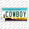 Cowboy Arizona Novelty Sticker Decal Small