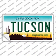 Tucson Arizona Novelty Sticker Decal Small