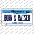 Born and Raised Minnesota State Novelty Sticker Decal Small