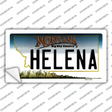 Helena Montana State Novelty Sticker Decal Small