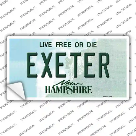 Exeter New Hampshire State Novelty Sticker Decal Small