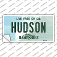 Hudson New Hampshire State Novelty Sticker Decal Small