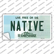 Native New Hampshire State Novelty Sticker Decal Small