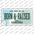 Born and Raised New Hampshire State Novelty Sticker Decal Small