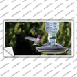 Hummingbird At Feeder Novelty Sticker Decal Small