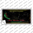 New Mexico Black Blank Rusty State Novelty Sticker Decal Small