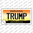 Trump Indiana Novelty Sticker Decal Small