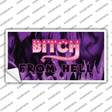 Bitch from Hell Novelty Sticker Decal