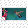 Humming Bird Novelty Sticker Decal Small