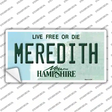 Meredith New Hampshire State Novelty Sticker Decal Small