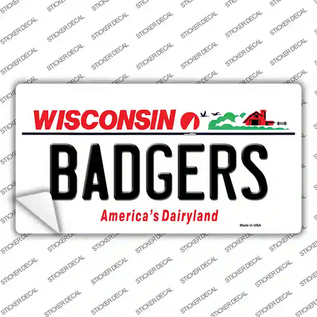 Badgers Wisconsin Novelty Sticker Decal Small