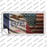 Iowa/American Flag Novelty Sticker Decal Small