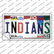 Indians Strip Art Novelty Sticker Decal Small