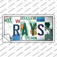 Rays Strip Art Novelty Sticker Decal Small