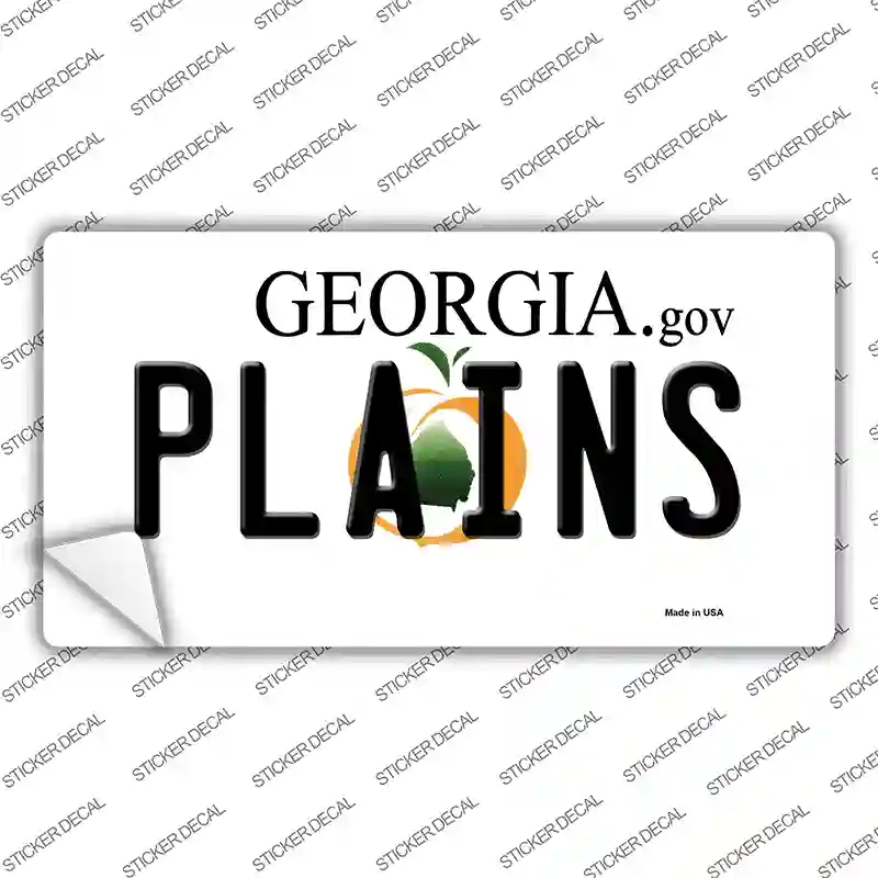 Plains Georgia Novelty Sticker Decal Small