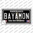 Bayamon Puerto Rico Black Novelty Sticker Decal Small