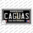 Caguas Puerto Rico Black Novelty Sticker Decal Small