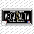 Vega Alta Puerto Rico Black Novelty Sticker Decal Small