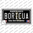 Boricua Puerto Rico Black Novelty Sticker Decal Small