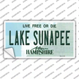 Lake Sunapee New Hampshire Novelty Sticker Decal Small