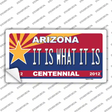 Arizona Centennial It Is What It Is Novelty Sticker Decal Small