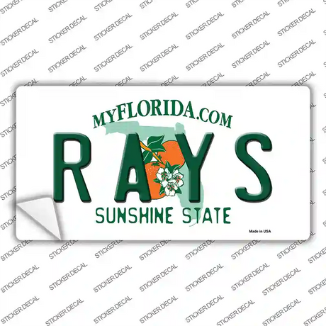 Rays Florida State Novelty Sticker Decal Small