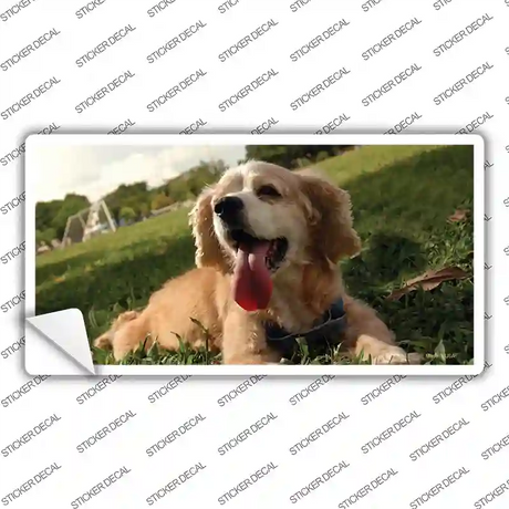 Cocker Spaniel Dog Novelty Sticker Decal Small